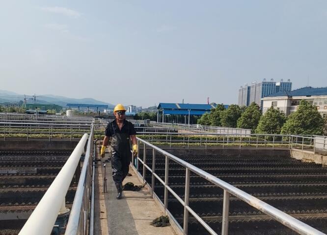 1662341704185872.jpg 1662341704185872.jpg